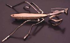 Click here for Phenomenal Insect Jewelry