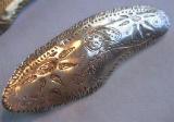 Microscopic Creatures as Jewelry